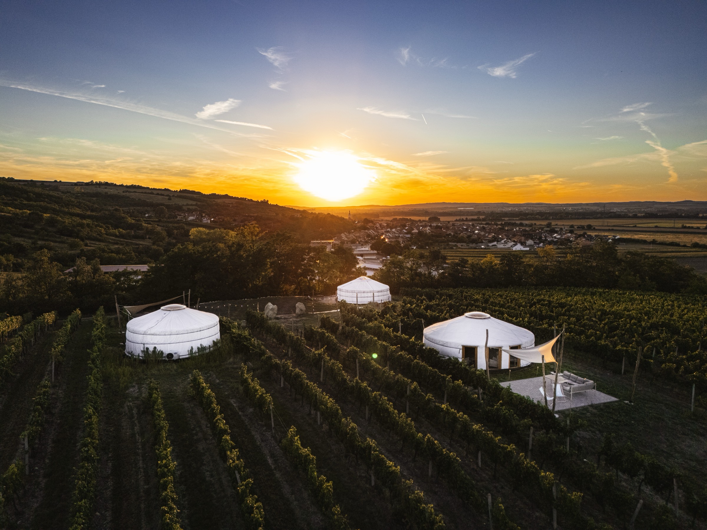 Jurty ve vinici - zapad slunce